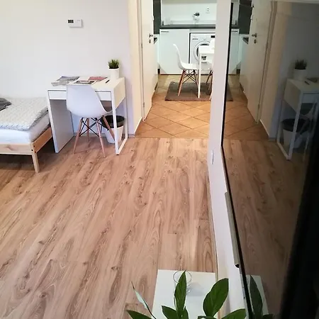 아파트 Haas Stojanova With Parking 브르노