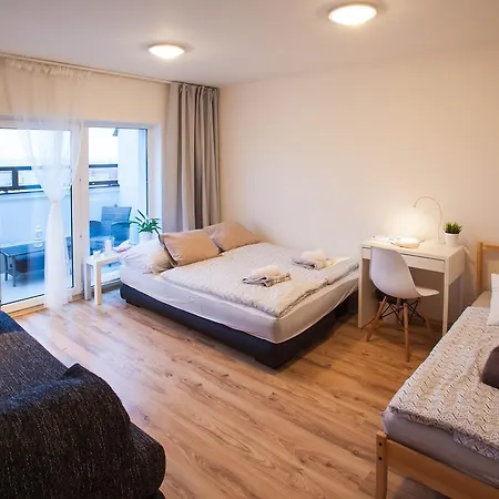 Haas Stojanova With Parking アパート ブルノ