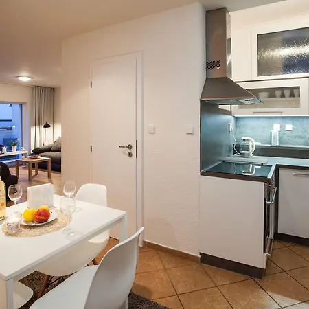 Haas Stojanova With Parking ブルノ