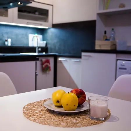 Haas Stojanova With Parking ブルノ