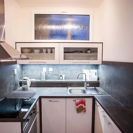 Haas Stojanova With Parking * ブルノ