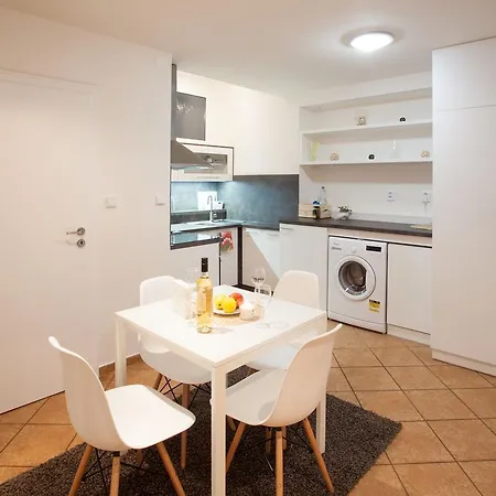 Haas Stojanova With Parking アパート ブルノ