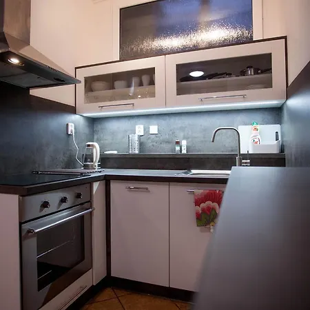 アパート Haas Stojanova With Parking ブルノ