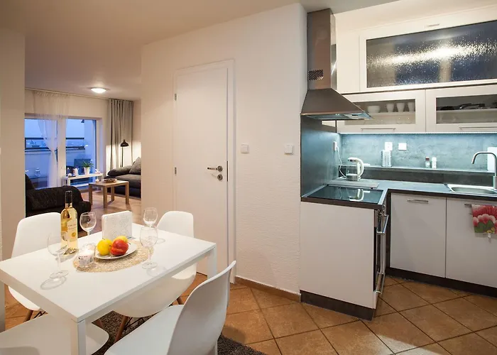 Haas Stojanova With Parking Brno