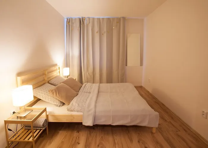 Haas Stojanova With Parking * Brno