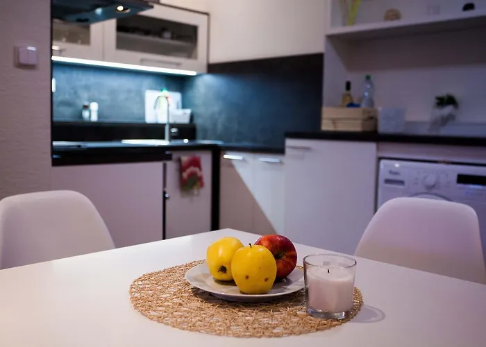 Haas Stojanova With Parking Brno