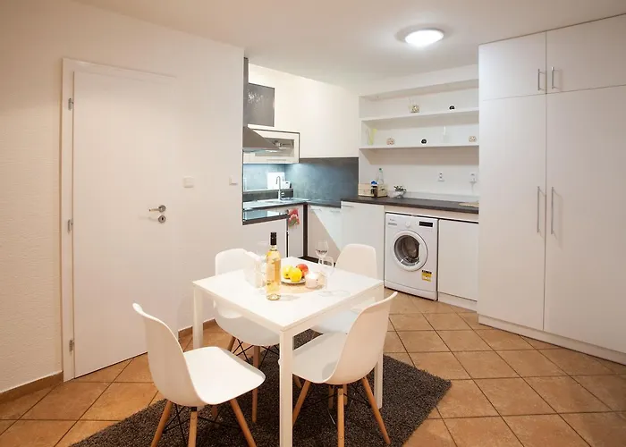 Haas Stojanova With Parking Lägenhet Brno