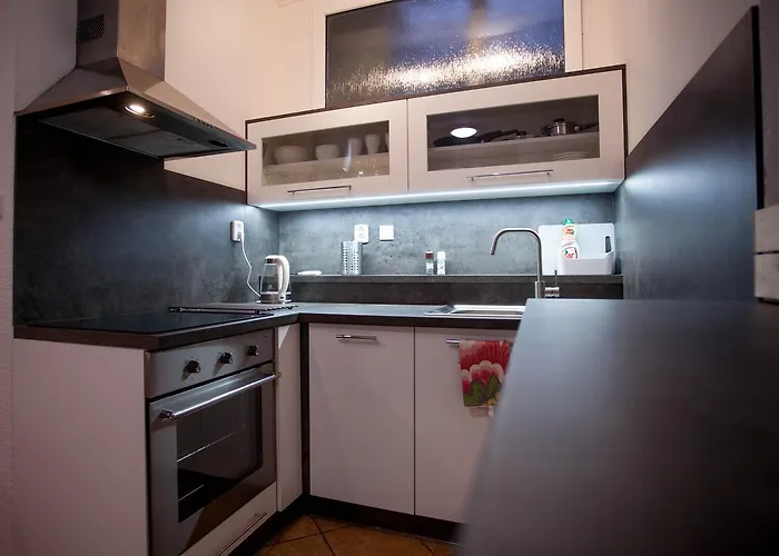 Lägenhet Haas Stojanova With Parking Brno